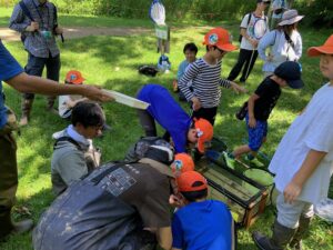 水槽に入った生きものを見る子供