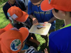 ドジョウの説明をするスタッフと子供