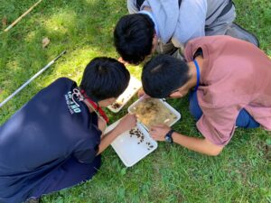 ヤゴの同定をするヤンマ団の卒業生