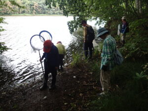 池でトンボを探す様子