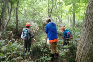 森の中で過ごす様子