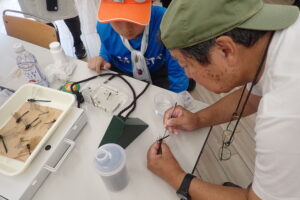 標本の作り方を教えるトンボの先生