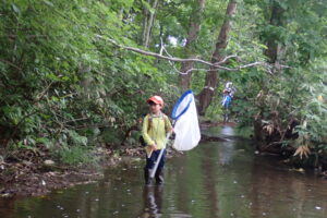 薄暗い川でトンボ採りをするヤンマ団