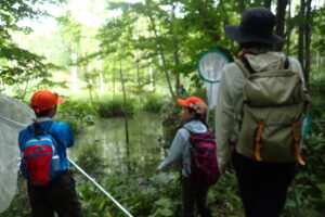 トンボ採りする親子