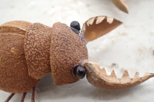 木の実で作ったクワガタ