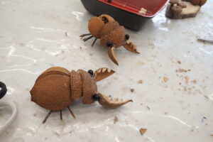 木の実で作ったクワガタ