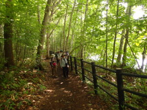 森の中で自然観察しながら歩く様子