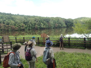 池でマガモを観察する参加者