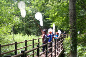 捕虫網を持った子どもたち