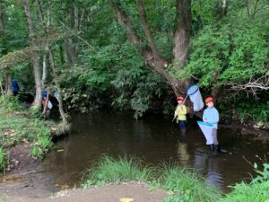 薄暗い川でトンボ採りをするヤンマ団