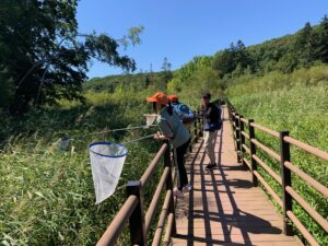 木道で虫網を伸ばす子どもたち