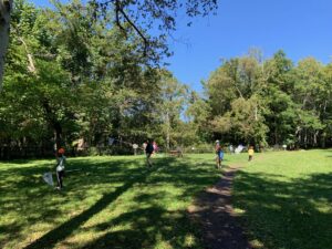 広場でトンボ採りをする子ども