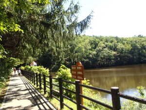 池と園路の様子