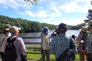 池で水鳥を観察する参加者