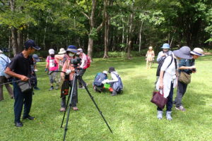 コオロギやニホンカナヘビを探す参加者