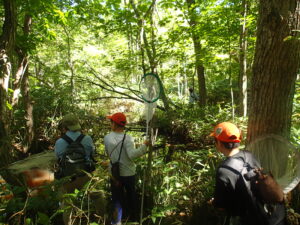 湿原でトンボとりする子どもたち