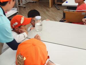 シュリンプの観察をする子ども