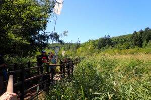 木道でトンボとりする親子