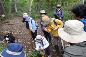 観察する参加者