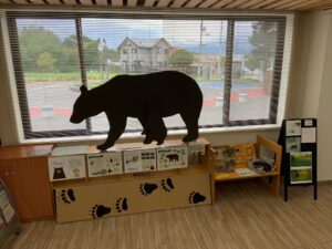ヒグマの展示