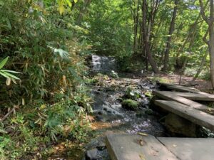 小さな川の様子