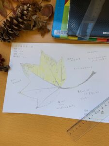 ネイチャージャーナリング