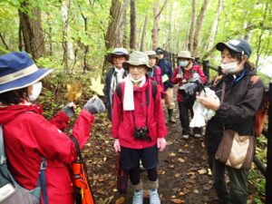 落ち葉のクイズをする ボランティアさん