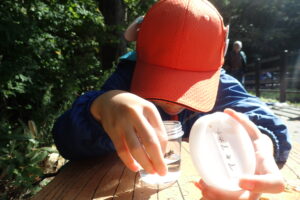 トンボの卵を産ませる団員