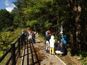 トンボの採卵する子どもたち