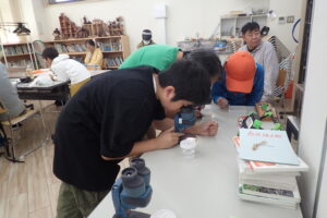 トンボの卵を顕微鏡でのぞく子どもたち