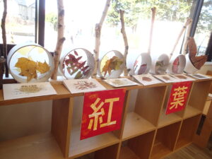 落ち葉と紅葉の展示の様子