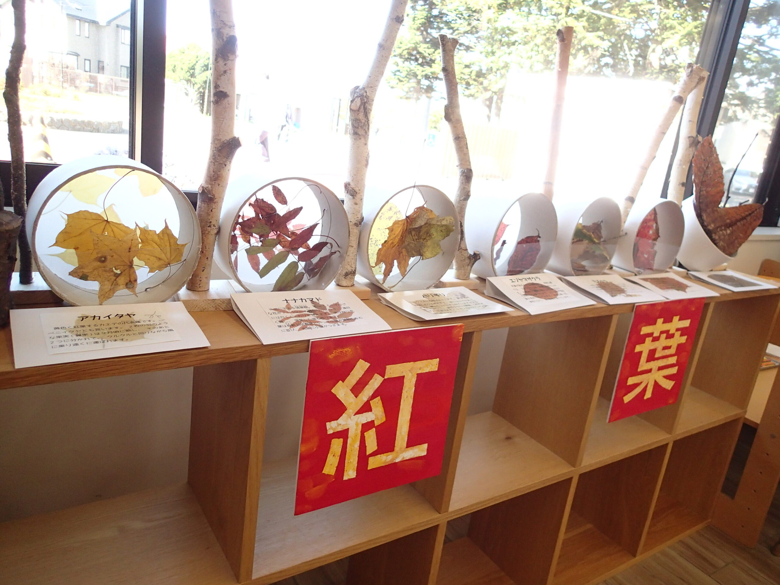 落ち葉と紅葉の展示の様子