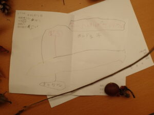 オニグルミの葉のスケッチ