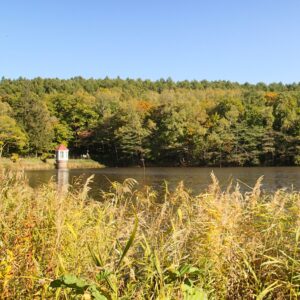 池と赤い屋根の取水塔