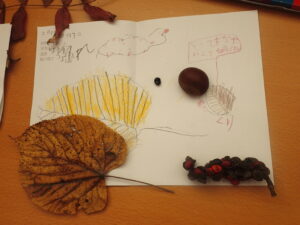 黄色い葉や、クリ、キタコブシを描いた画用紙