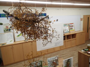 ドライのヤドリギをぶら下げた展示