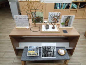 ヤドリギの展示