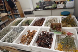 1124子りす工房の様子