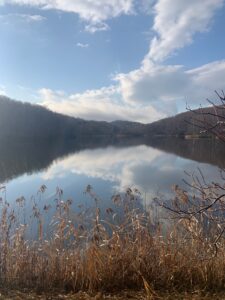 青い空と雲が映った池