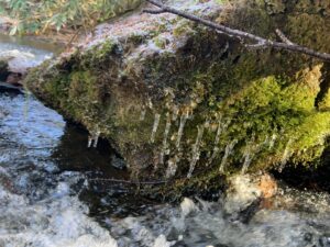 岩についたつらら