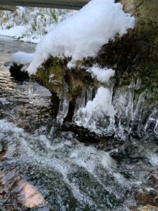 つららのついた川の石