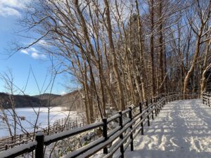 雪の積もった園路