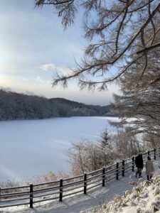 雪をかぶったカラマツと池