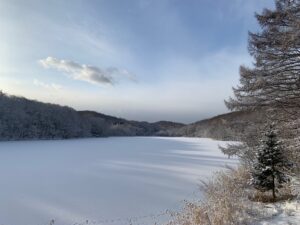 池に森の影が伸びる