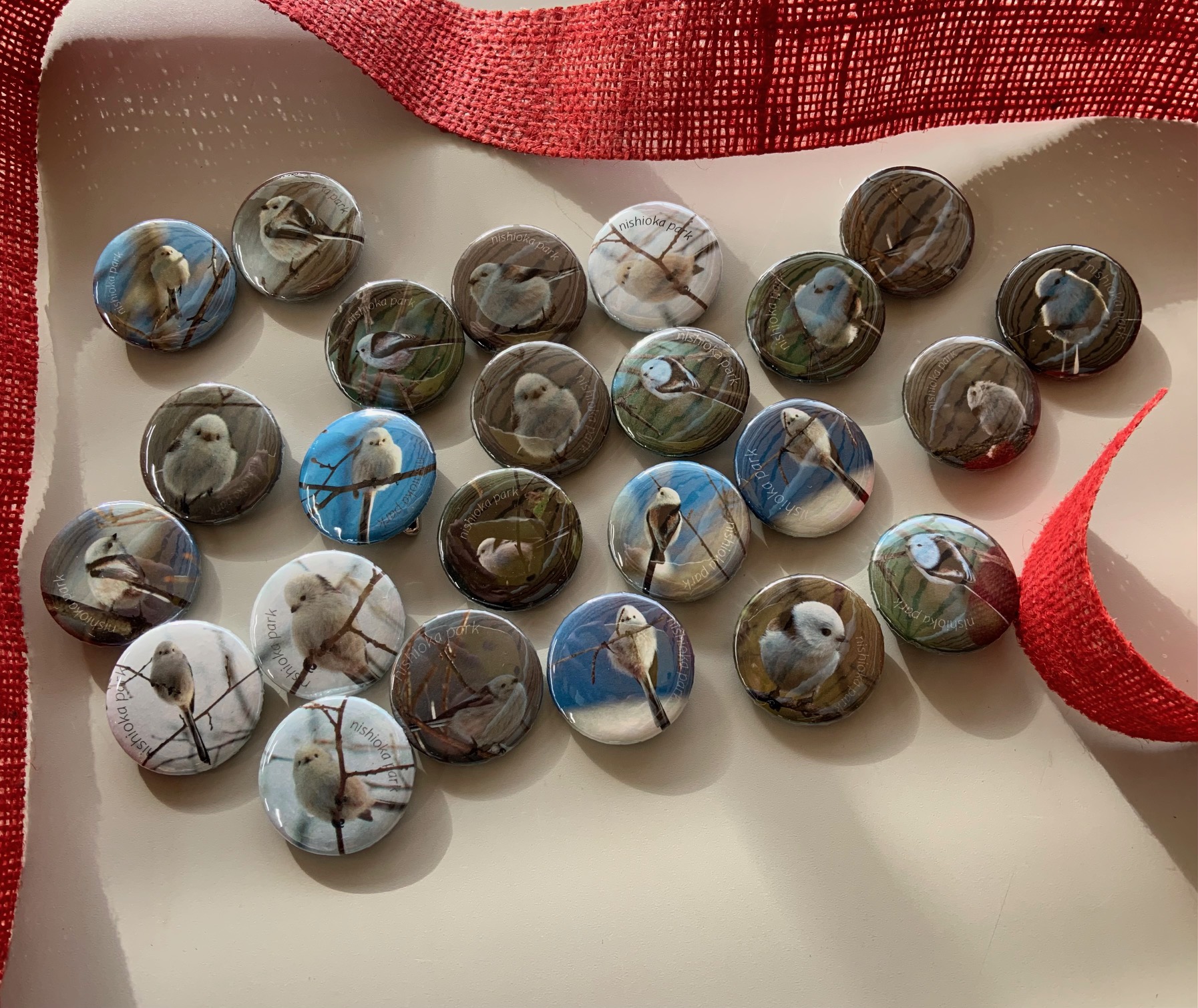 シマエナガの缶バッチ