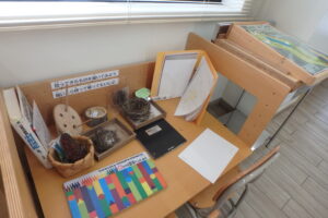 ネイチャージャーナリングコーナーの様子