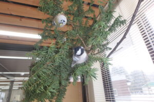 鳥のフェルトの模型