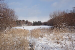 雪に覆われた湿原と池