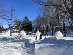 公園の中に作られたたくさんのイグルー