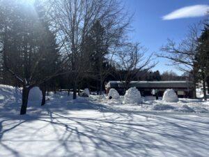 公園の中に作られたたくさんのイグルー